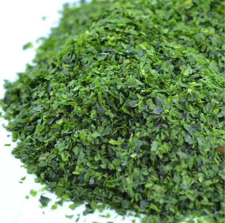 天然アオノリ海藻8-16メッシュバルク海藻製品