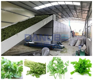 Secador de Banda Continua de 20 Toneladas para Especias y Hierbas, Secador de Cúrcuma y Ajo de Bajo Consumo, Línea de Producción para Secado de Chiles - Product Image 4