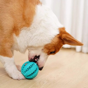 プレミアム耐久性のある自己修復型子犬用噛むボール |   漏れ防止 |   トレーニングと歯が生える時期のインタラクティブな遊び |   犬用おもちゃ - Product Image 3