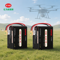 17ah 51.8v 14s Lipo Lithium Drone Battery Pack Baterai Drone Semi Solid State Pertanian Uav Drone Battery 14s
