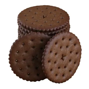 wholesale chocolate flavored crispy biscuits chocolate biscuits