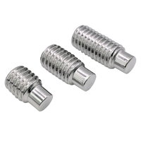 Vis de réglage à fente en acier inoxydable 18-8 SS SUS 304 316 316L A2 A4 70 80 avec pointe de chien DIN926 DIN417