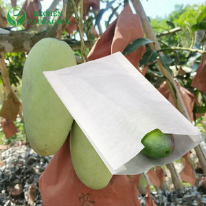 Mango Brand Biodegradable Grape Bags Fruit Growing Bag Wax Apple