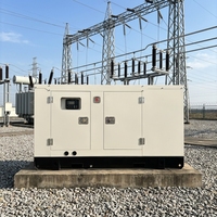 Générateur portable diesel silencieux Nengron 30KW 40KW 70KW triphasé de haute qualité avec ATS pour l'extérieur