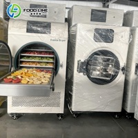 OEM Mini Groente- en Fruitvriesdroogmachine voor thuisgebruik