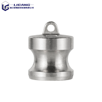 Bouchon anti-poussière Camlock de type DP en acier inoxydable 304, raccord rapide femelle pour fermeture de ligne de tuyau et prévention de la contamination