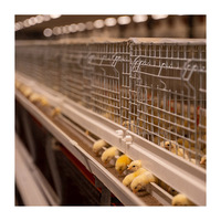 Vente Chaude Cage à poulets automatique de type H pour poussins d'un jour et poulettes en batterie, avec une durée de vie de 15 à 20 ans