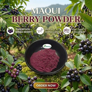 Polvo de Fruta de <span class=keywords><strong>Maqui</strong></span> 100% Natural al por Mayor, Polvo de <span class=keywords><strong>Maqui</strong></span> Soluble en Agua para Alimentos y Bebidas - Product Image 1
