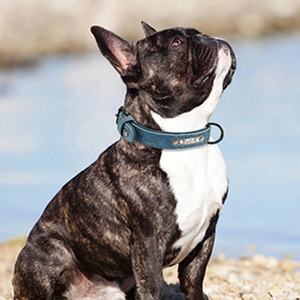 Moda logotipo personalizado nombre perro Collar ajustable alta calidad mascota perro Collar doble capa PU cuero mascota perro collares - Product Image 6