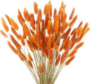 Bouquet de queues de lapin décoratif personnalisé en usine Nature éternelle <span class=keywords><strong>Lagurus</strong></span> Ovatus sec fleurs séchées conservées - Product Image 4