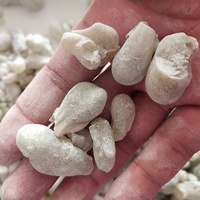 Encens africain parfum de haute qualité, 8 pièces, nouveau matériau