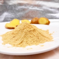Poudre de gingembre 100 mesh, épice naturelle pure et saine du Guangxi pour la transformation alimentaire