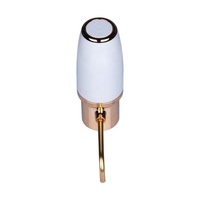 Produit populaire Vente en gros Aérateur de vin électronique automatique Décanteur de vin électrique Aérateur de vin électrique Verseur