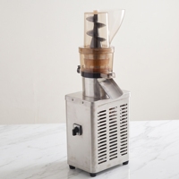Extracteur de jus commercial à froid en acier inoxydable de qualité supérieure, presse-fruits et légumes à mastication lente, moteur à vitesse lente