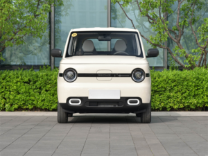 <span class=keywords><strong>Panda</strong></span> 2025 <span class=keywords><strong>Voiture</strong></span> électrique sportive Autonomie de 210 km 3 portes 4 places Modèle kart Conduite urbaine amusante Moteur 50 kW - Product Image 6