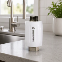 Conditionneur d'eau dure domestique BriskSpring sans sel, système anti-calcaire à fonctionnement manuel, garantie 3 ans, pour tuyauterie