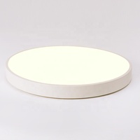 Panneau Rond Led 400mm PUZHUOER 30W CE ROHS FCC EMC Moderne Intérieur Lumières Dimmable Led Surface Smart Plafonnier