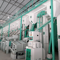 Ligne de production de riz completement automatisée pour l'agriculture : machines de nettoyage, de déstonage et de polissage du riz
