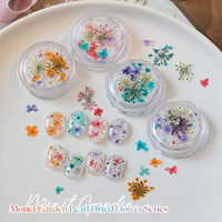 Missgooey Nouveauté 4 Couleurs Fleurs Séchées Miniatures Véritables du Jardin de Monet Petites Perles Rondes Strass pour Décoration d'Ongles DIY Manucure