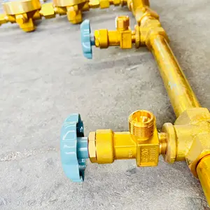 Semi-automatic Switching Brass Manifold With 5 Connectors On Each Side For Oxygen Cylinder