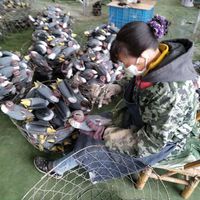 Décoys de chasse au pigeon gonflables en plastique ABS/PE durables Shero
