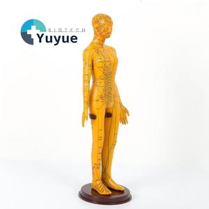 Modello di Punti di Agopuntura con Struttura del Corpo Umano - Simulatore di Addestramento con Ago in PVC per l'Apprendimento della Medicina Tradizionale Cinese - Product Image 1
