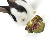 Lapins Timothy friandises pour lapin cochon d'inde Hamster cochons d'inde chinchillas collations molaires nourriture lapin friandises