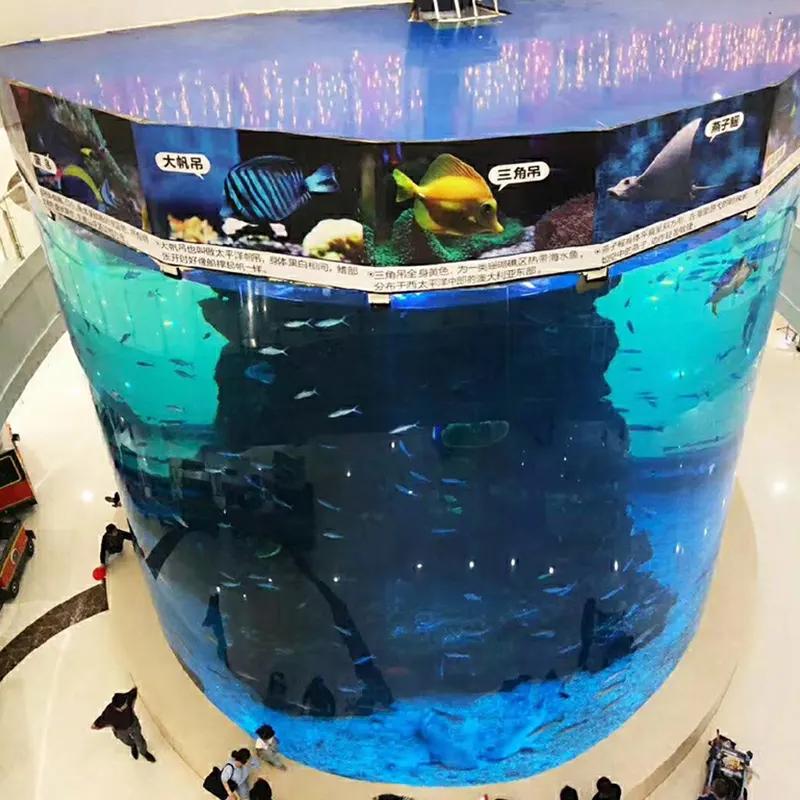 Milieuvriendelijke Nieuwe Stijl Grote Display Transparante Cilindrische Ronde Acryl Aquarium