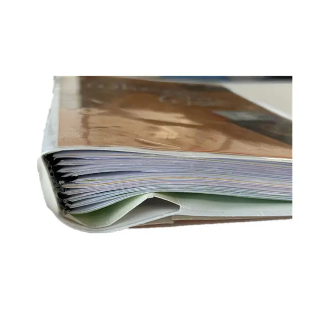 Philippines market wholesale Diary Portable Exquisite Loose Leaf Book custom size PVC soft cover soft cover notebook