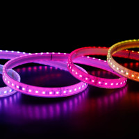 Tira de Luces LED RGB para Automóvil de 12V/24V CC, WS2811 WS2812B DMX, Direccionable, Programable, Flexible, Impermeable, con Control por Voz, de Fábrica China