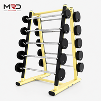 Support de Rangement Commercial pour Barres de Musculation, Type A, 10 Barres, Fixe, Sûr, Stable et Durable, pour Salle de Sport et Club de Fitness