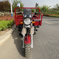 Motocyclette à 3 roues, moteur 200CC refroidi par air, tricycle motorisé, trike à essence, moto cargo
