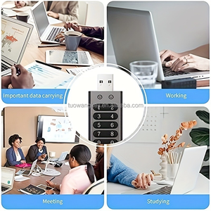 An Toàn <span class=keywords><strong>USB</strong></span> 3.0 Ổ Đĩa Flash Với Phần Cứng Mật Khẩu Mã Hóa 32GB 64GB 128GB & 256GB Dung lượng Memory Stick Mã Hóa Ổ Đĩa Bút - Product Image 6