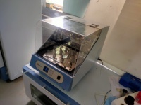 Incubadora de Laboratorio Termostática con Agitador Orbital, Pantalla LCD, 300 RPM, Control Digital y Función de Temporizador