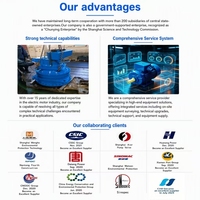 Vibrationsmotoren Silo-Wandvibrator 0,75KW IP55-Schutz 380V für Industrielle Kohlebergwerke und Anwendungen im Energiebereich 50Hz
