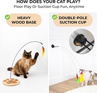 Mainan Kucing Ramah Lingkungan dari Plastik Berbentuk Bulu dengan Alas Lantai yang Dapat Menempel Sendiri & Suction Cup untuk Kucing di Dalam Ruangan