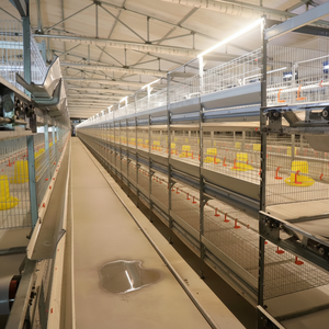 Nuevo sistema de suministro de agua por lotes tipo H de diseño silencioso para granjas de ocio suburbanas, jaulas para pollos de bajo ruido con fácil operación - Product Image 1