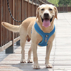 Arnês De Cão De Luxo Com Trela Durável Dog <span class=keywords><strong>Harness</strong></span> Set À Prova De Explosão Reflexivo Respirável Ajustável Acessórios Do Cão - Product Image 4