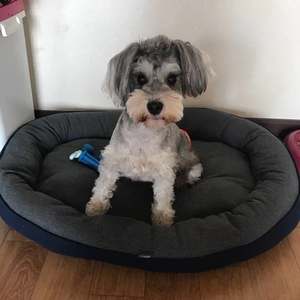 Mehrfarbiges Haustier-Heizbett Warmes Nest Baumwolle Ortho pä disches Hunde bett Memory Foam Cat Cave Bett für kleine Hunde - Product Image 4