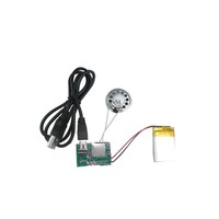 Module sonore magnétique USB standard d'exportation, mécanisme vocal enregistrable pour cartes de vœux et boîtes cadeaux, vente en gros