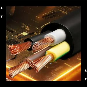 <span class=keywords><strong>สาย</strong></span><span class=keywords><strong>ไฟ</strong></span>ทองแดงขนาด 4.0 มม. หุ้มฉนวน PVC แบบยืดหยุ่น 3/4/5/6/7/8 แกน <span class=keywords><strong>สาย</strong></span><span class=keywords><strong>ไฟ</strong></span>สำหรับติดตั้งระบบไฟฟ้าแบบหลายแกน - Product Image 6