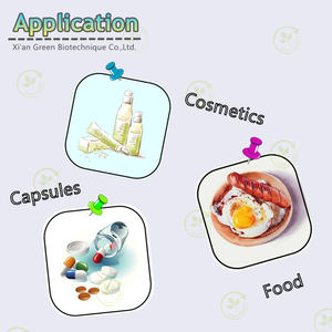 Beneficios para la salud Coenzima <span class=keywords><strong>Q10</strong></span> Suplemento en polvo - Product Image 4