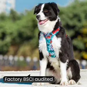 Factory Hot Sale Supply Soft Dogs High Quality Dog Harness With Competitive Price