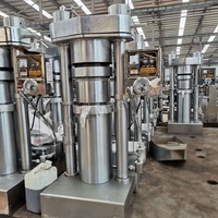Presse à huile hydraulique automatique en acier inoxydable, machine de pressage à froid et à chaud 380V 60 Kg/H pour olive, soja, noix, sésame