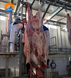 Équipement complet d'abattage <span class=keywords><strong>de</strong></span> bétail à conception personnalisable, capacité <span class=keywords><strong>de</strong></span> 500 têtes par jour, pour la transformation industrielle du bœuf avec moteur. - Product Image 1