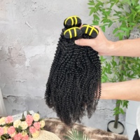 Lot de Cheveux Humains Brésiliens Bruts Non Traités, Grade 12A, Naturels, Bouclés Crépus, Vierge, en Gros