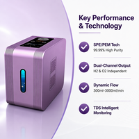 Machine d'inhalation d'hydrogène 300 ml/min, pureté 99,992 %, électrolyseur SPE PEM, 220 V, 450 W, boîtier en tôle galvanisée