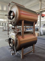 Cuve à bière horizontale en acier inoxydable 10BBL, design empilable pour brasserie artisanale à espace limité, conditionnement et stockage de la bière