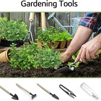 Kit de démarrage pour jardin, kit de plantation complet, boîte à fleurs en bois, potager d'herbes aromatiques pour fenêtre de cuisine, ensemble de plantes DIY, herbes aromatiques, basilic, persil