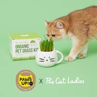 Kit de culture d'herbe pour animaux de compagnie avec herbe pour chat, pot à herbe pour chat blanc, cubes d'herbe pour chat, y compris du terreau